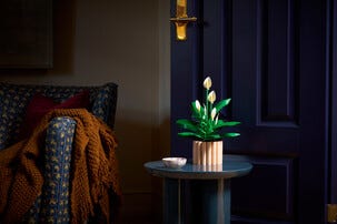 LEGO Botanicals Viirivehka 11504, 18+ vuotta