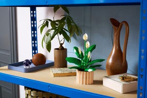 LEGO Botanicals Viirivehka 11504, 18+ vuotta