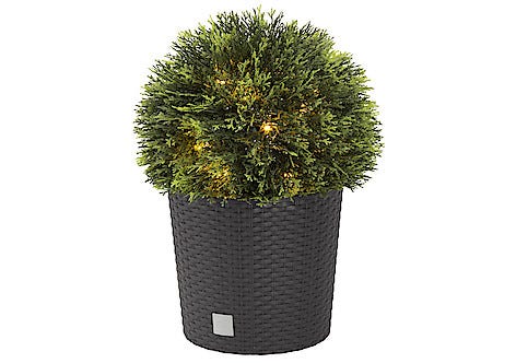 Tuja-boll 33 cm Northlight