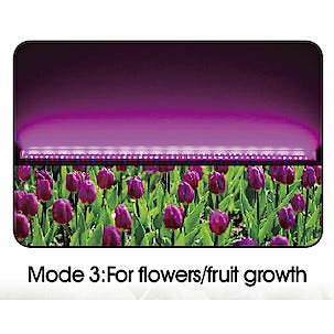 Växtbelysning LED