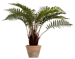 Ormbunke konstväxt, 70 cm