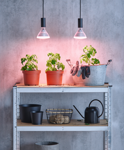 Växtlampa LED E27 PAR38