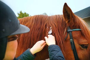 GPS-tracker Yepzon One 2.0