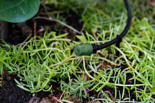 Droppbevattning växthus och trädgårdsland, 35 plantor