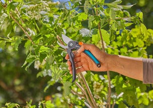 Gardena PremiumCut hagesaks med sideskjær