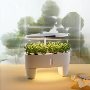 Sett for hydroponisk dyrking med 16 plugger, innendørs