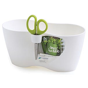 Örtkruka med kryddsax