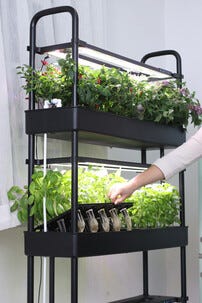 Sett for hydroponisk dyrking med 90 plugger, 3 etasjer