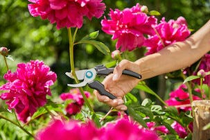 Gardena EcoLine sekatör, sidoskär