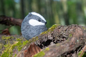 Agna Wool Art Kit Huovutustyö mäyrä, 10 cm