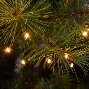 Julgransbelysning, Northlight