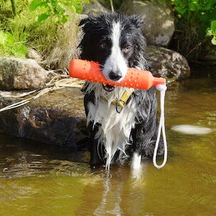Dogman dummie flytende hundeleke, 26 cm