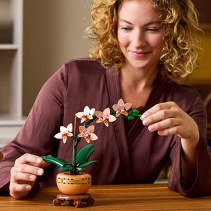 LEGO Icons Botanicals Miniorkidé 10343, 18 år