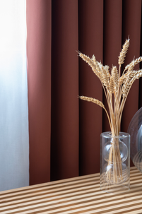 Mörkläggande gardin Dokie, Hasta