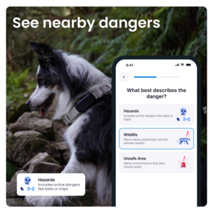 Tractive Dog 6 GPS-tracker for hund
