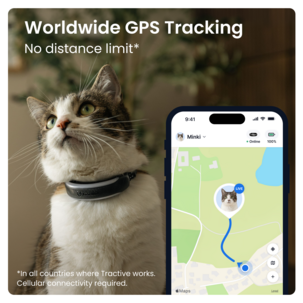 Tractive Cat 6 Mini GPS tracker för katt