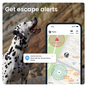 Tractive Dog 6 GPS-tracker for hund