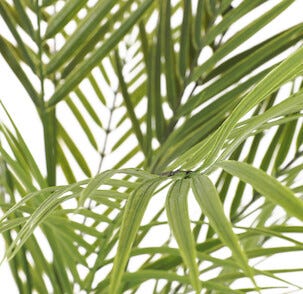 Kunstig palme, 64 cm