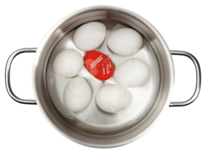 Egg Perfect eggtimer