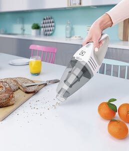 Electrolux 1GO ZB2952 skaftstøvsuger