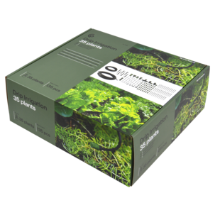 Droppbevattning växthus och trädgårdsland, 35 plantor