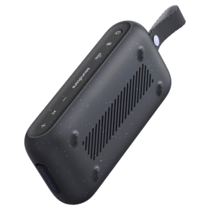 Soundcore Motion 300 Bluetooth-høyttaler, svart