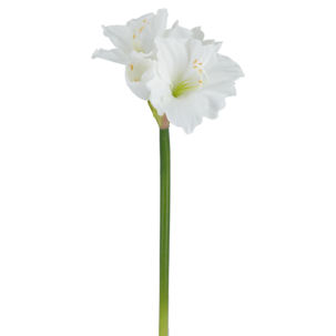 Konstgjord amaryllis, 61 cm