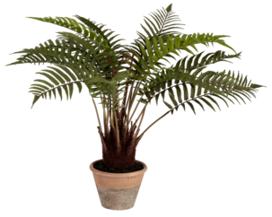 Ormbunke konstväxt, 70 cm