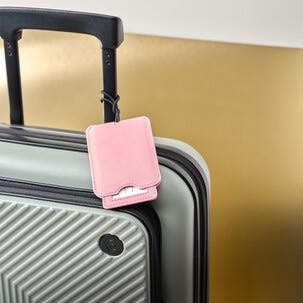 Passfodral och bagagebricka reseset, konstläder