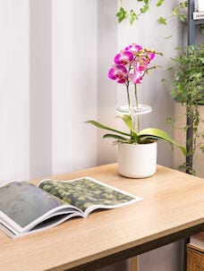 Kasvivalaisin LED ruukkukasveille, pyöreä teleskooppi valkoinen