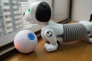 Silverlit Robo Dackel Jr interaktiv robothund, från 5 år