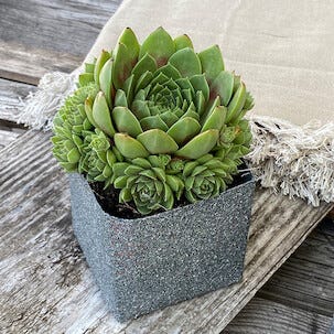 Dupli-Color Granite Look sprayfärg granit, 400 ml