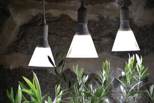 Nelson Garden växtbelysning LED-lampa E27 med skärm, 15 W