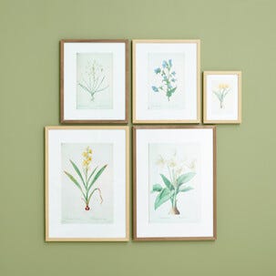 Valokuvakehys puuta FSC 50x70 cm