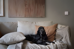 Nexa MWST-1812 trådløs bryter