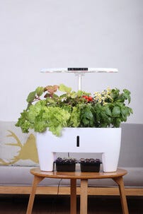 Sett for hydroponisk dyrking med 16 plugger, innendørs