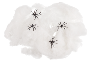 Spindelnät Halloween