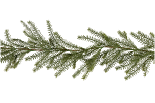 Girlang granris, 160 cm