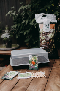 Nelson Garden pluggbrett med lokk 38 x 24 cm