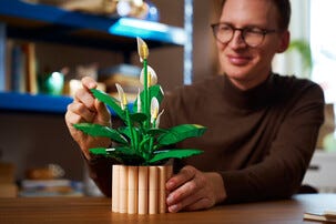 LEGO Botanicals Viirivehka 11504, 18+ vuotta