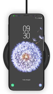 Belkin BoostUp 5 W, trådløs Qi-lader