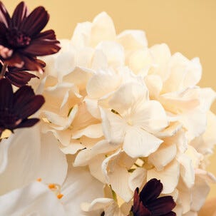 Kunstig snittblomst, mørkerød kosmos, 66 cm