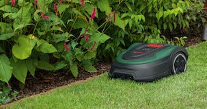 Bosch Indego M+ 700 Robottiruohonleikkuri, 700 m2