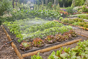 Gardena bevattning köksträdgård startset, 60 m2