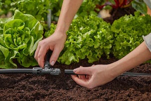 Gardena T-koppling 13 mm, 1/2 tum, 2-pack