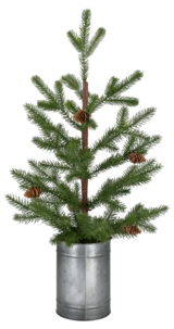 Pöytäkuusi, jossa käpyjä ja peltiruukku, 60 cm