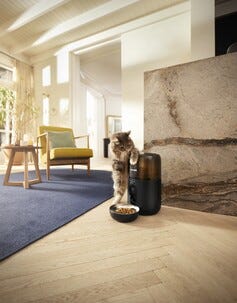 Philips Smart Feeder fôrautomat med kamera