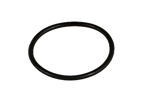 O-ring 24x1,5mm