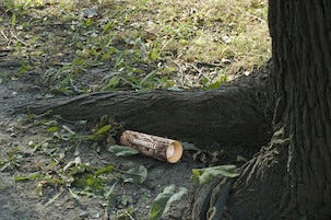 Thermacell Flåttkontroll