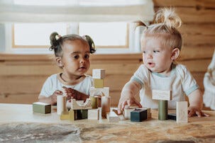 Micki Premium Rakennuspalikat puuta, 40 kpl, ikäsuositus yli 5 kk